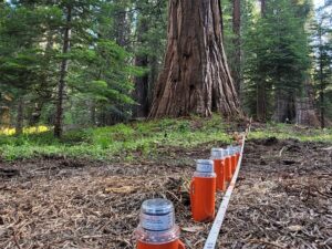 Stryde – R&D – Sébastien Chevrot – hydrogène naturel – capteurs sismiques -